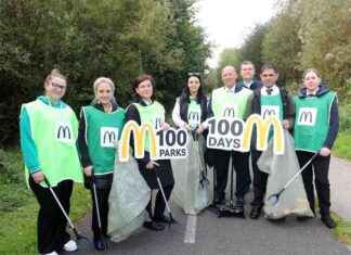 McDonald’s Staff Clean City Estates in Limerick: Community Initiative news-09112024-155829