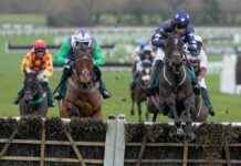 Greatwood Hurdle at Cheltenham: Runners and Riders for Sunday’s Race news-16112024-161737