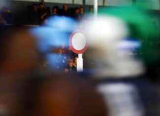 Racing and Bloodstock News Roundup: November 16, 2024 – Free Access news-17112024-162543