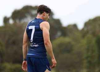 Pre-Season Progress: Mannagh Leading the Way for Cats news-25112024-233428