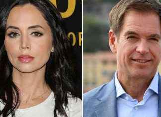 Michael Weatherly Apologizes for Harassment Allegations in NCIS news-30112024-181217