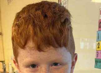 Investigation Ongoing into Death of Schoolboy Hit by Van in Co Clare nvestigation-ongoing-into-death-of-schoolboy-hit-by-van-in-co-clare