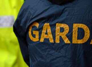 Statement to Gardaí in Rathmines Hit-and-Run Investigation statement-to-garda-in-rathmines-hit-and-run-nvestigation
