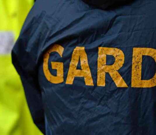 Statement to Gardaí in Rathmines Hit-and-Run Investigation statement-to-garda-in-rathmines-hit-and-run-nvestigation