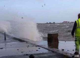 Addressing Work Related Violence in Dublin: A Detailed Report on 171 Cases addressing-work-related-violence-in-dublin-a-detailed-report-on-171-cases