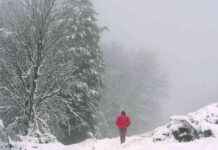 End of Big Freeze: Double Digit Temperatures Forecast by Met Eireann end-of-big-freeze-double-digit-temperatures-forecast-by-met-eireann