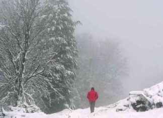 End of Big Freeze: Double Digit Temperatures Forecast by Met Eireann end-of-big-freeze-double-digit-temperatures-forecast-by-met-eireann