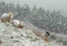 Extreme Cold Weather Warning: Ireland Issues Status-Orange Alerts for Life-Threatening Conditions extreme-cold-weather-warning-reland-ssues-status-orange-alerts-for-life-threatening-conditions