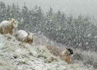 Extreme Cold Weather Warning: Ireland Issues Status-Orange Alerts for Life-Threatening Conditions extreme-cold-weather-warning-reland-ssues-status-orange-alerts-for-life-threatening-conditions