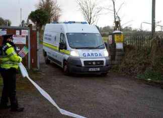 Man (23) Facing Contempt Proceedings for Not Testifying in Diarmuid Phelan Murder Trial man-23-facing-contempt-proceedings-for-not-testifying-in-diarmuid-phelan-murder-trial