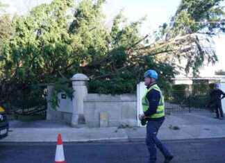 Ireland Weather: New Wind and Rain Warnings Issued by Met Éireann reland-weather-new-wind-and-rain-warnings-ssued-by-met-ireann