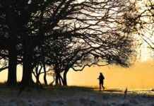 Severe Weather Alert: Ireland Braces for ‘Significant Snowfall’ – Taoiseach Briefed by Emergency Directorate severe-weather-alert-reland-braces-for-significant-snowfall-taoiseach-briefed-by-emergency-directorate