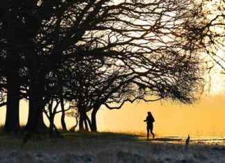 Severe Weather Alert: Ireland Braces for ‘Significant Snowfall’ – Taoiseach Briefed by Emergency Directorate severe-weather-alert-reland-braces-for-significant-snowfall-taoiseach-briefed-by-emergency-directorate