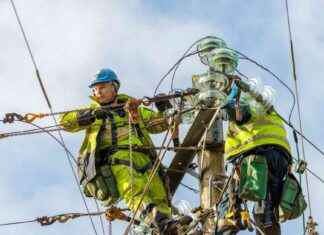 Thousands of Homes Remain Without Power a Week After Storm Éowyn thousands-of-homes-remain-without-power-a-week-after-storm-owyn