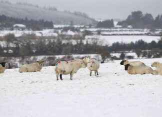 Weather Ireland: School Closures and Water Outages Update weather-reland-school-closures-and-water-outages-update
