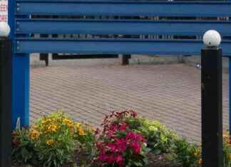 Assault on Prison Officer at Mountjoy Prison: Safety Concerns assault-on-prison-officer-at-mountjoy-prison-safety-concerns