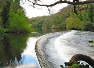 Campaign against abbatoir effluent plan gains support from James Bond actor Pierce Brosnan campaign-against-abbatoir-effluent-plan-gains-support-from-james-bond-actor-pierce-brosnan