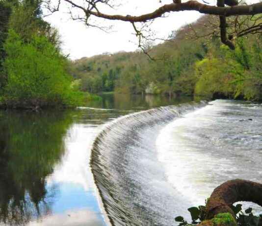 Campaign against abbatoir effluent plan gains support from James Bond actor Pierce Brosnan campaign-against-abbatoir-effluent-plan-gains-support-from-james-bond-actor-pierce-brosnan