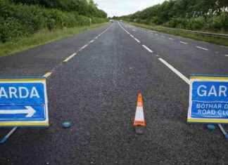 Elderly Man Fatally Struck by Car in Co Laois elderly-man-fatally-struck-by-car-in-co-laois