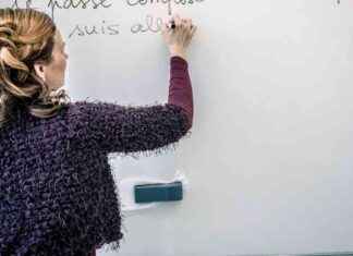 Training Primary Teachers to Teach Foreign Languages Efficiently training-primary-teachers-to-teach-foreign-languages-efficiently