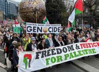 Cofounder of sanctions movement speaks at Palestine protest in Dublin cofounder-of-sanctions-movement-speaks-at-palestine-protest-in-dublin