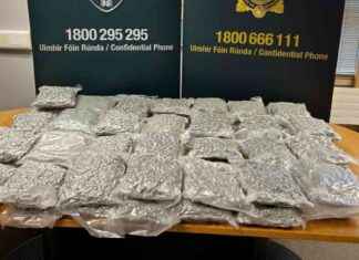 Man Arrested in €570k Cannabis Seizure Operation man-arrested-in-570k-cannabis-seizure-operation