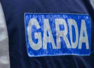 Oireachtas Member Arrested for €150,000 Business Fraud oireachtas-member-arrested-for-150000-business-fraud