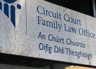 Proposal to Name Domestic Violence Perpetrators in Family Law Cases proposal-to-name-domestic-violence-perpetrators-in-family-law-cases