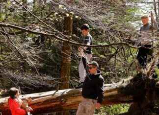 Sunny Days Ahead: Ireland Weather Forecast for the Weekend sunny-days-ahead-reland-weather-forecast-for-the-weekend