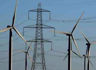 Bord Pleanála’s Appeal Over Climate Law Duties: Senior Judges Warn of Far-Reaching Consequences bord-pleanlas-appeal-over-climate-law-duties-senior-judges-warn-of-far-reaching-consequences