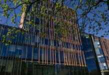 Dublin Tech Job Cuts: Microsoft and Linkedin Announce Layoffs dublin-tech-job-cuts-microsoft-and-linkedin-announce-layoffs