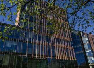 Dublin Tech Job Cuts: Microsoft and Linkedin Announce Layoffs dublin-tech-job-cuts-microsoft-and-linkedin-announce-layoffs