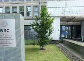 Flute Teacher Appeals WRC Ruling as Non-Whistleblower flute-teacher-appeals-wrc-ruling-as-non-whistleblower