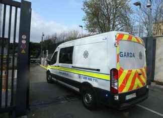 High Number of Individuals Skip Bail in Dublin Ireland 2024 high-number-of-ndividuals-skip-bail-in-dublin-reland-2024