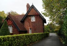 Discover the Charm of Ivy Dublin: A Hidden Gem in Ireland