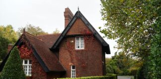 Discover the Charm of Ivy Dublin: A Hidden Gem in Ireland