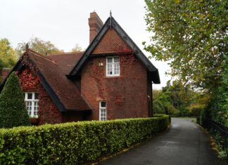 Discover the Charm of Ivy Dublin: A Hidden Gem in Ireland