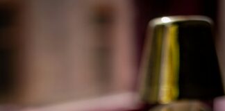 Top 10 Must-Try Restaurants in Dublin for Food Lovers