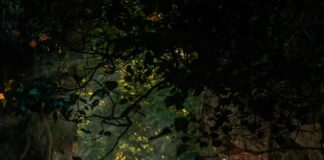 Dublin’s COVID-19 Lockdown: What You Need to Know