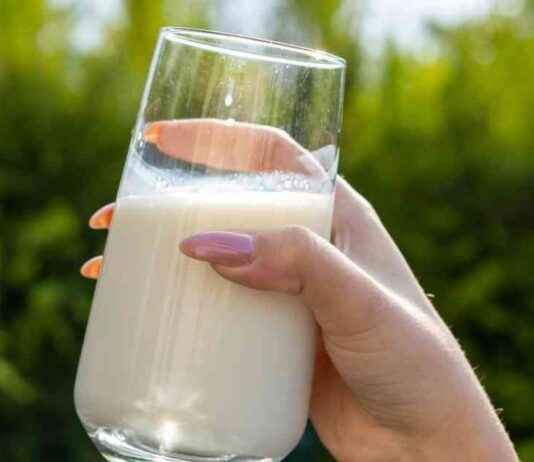 Urgent Milk Recall Due to Severe Illness-Causing Bacteria urgent-milk-recall-due-to-severe-llness-causing-bacteria