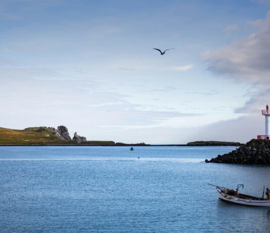Dublin Bay Cruises Howth: Discover Stunning Views and Hidden Gems Home