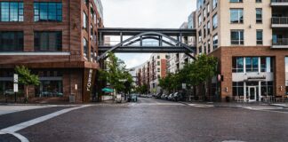 Ranelagh Dublin Secrets: Why Locals Love This Vibrant Neighbourhood