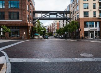 Ranelagh Dublin Secrets: Why Locals Love This Vibrant Neighbourhood