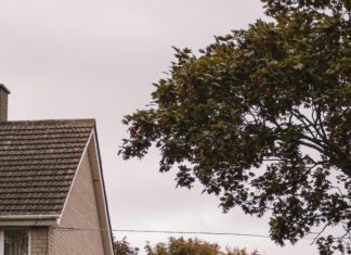 Discover Terenure Dublin: A Charming Neighborhood Guide