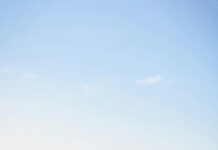 Sandyford Business Park Dublin: Why Is It The Ultimate Hub For Success?