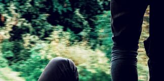 Limerick To Dublin Train: Discover The Ultimate Journey Experience