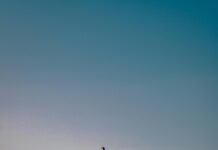 Dublin Bay Cruises: Discover Stunning Views and Hidden Gems Today