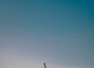 Dublin Bay Cruises: Discover Stunning Views and Hidden Gems Today