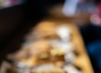 Terra Madre Dublin: Discover The Ultimate Foodie Experience Today