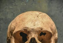 Death Notices Dublin: Discover How To Find Them Quickly And Easily